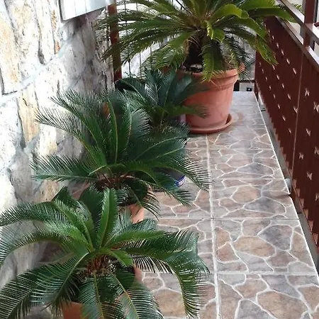 In Town Center