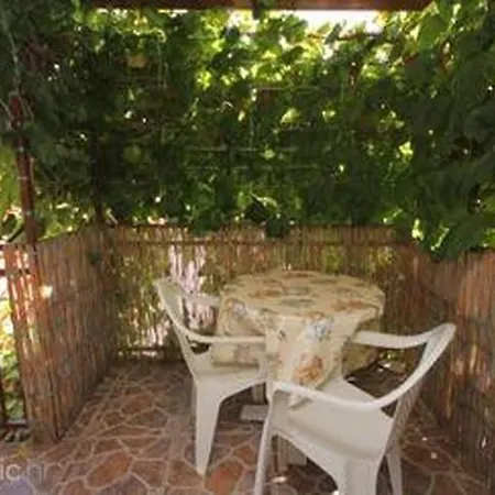 Apartment In Town Center